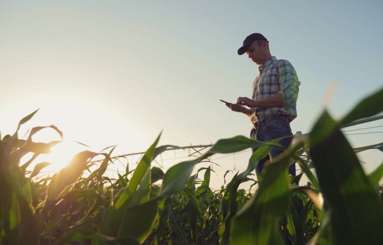 Demystifying environmental professions