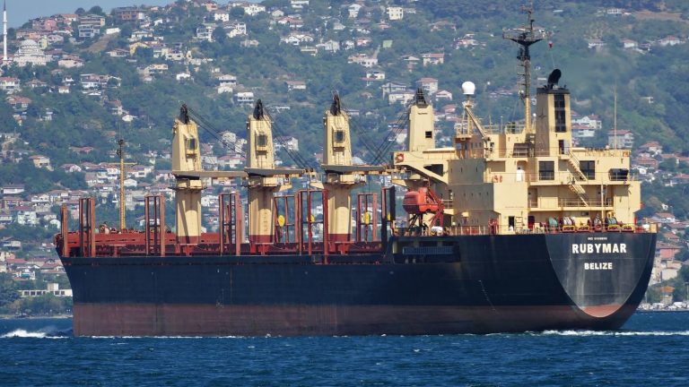 Did Yemen’s Houthi rebels really sink several cargo ships in the Red Sea, as some Internet users claim?