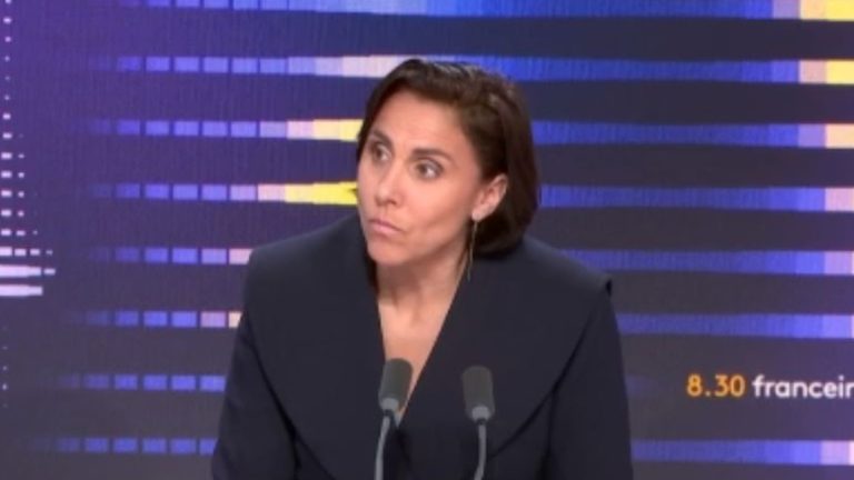 Emmanuel Macron “once again missed the expectations of farmers”, believes RN MP Laure Lavalette