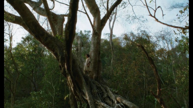 “Eureka”, a contemplative shamanic film on the wings of time