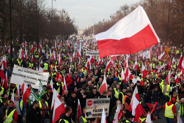 European Green Deal |  Polish farmers demonstrate in Warsaw