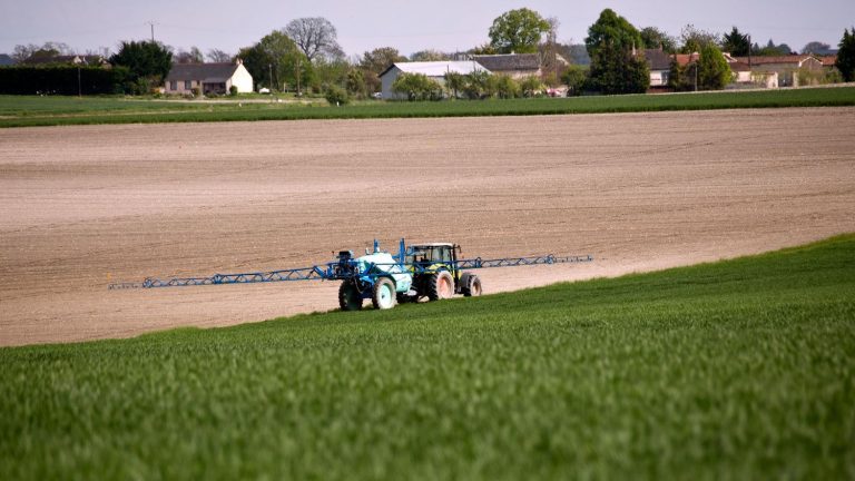 France suspends the importation and marketing of fresh fruits and vegetables treated with the insecticide thiacloprid