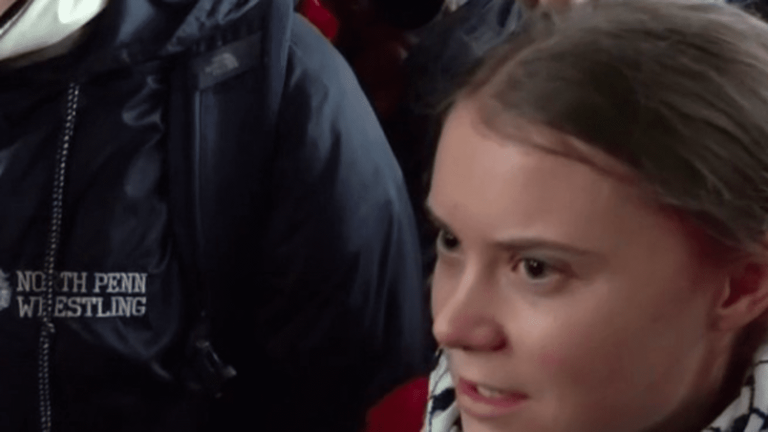 Greta Thunberg alongside 350 demonstrators against the motorway project