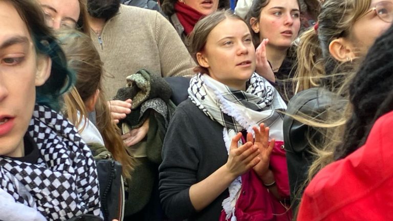 Greta Thunberg as reinforcement in the environmentalist demonstrations in the South-West of France