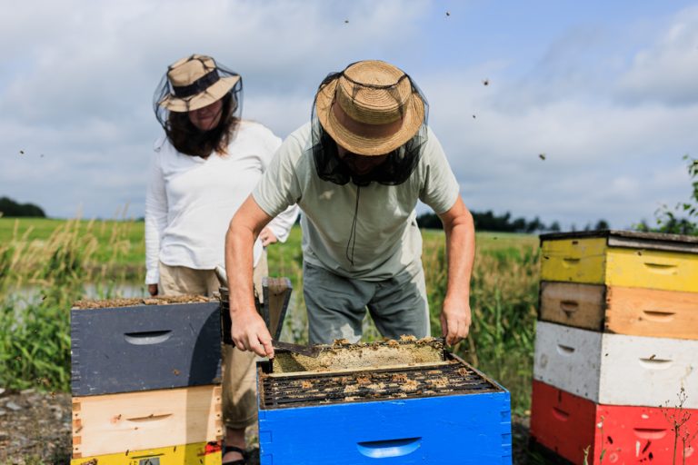 Honey production here in free fall