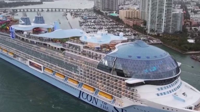 Icon of the Seas: an ecological aberration?