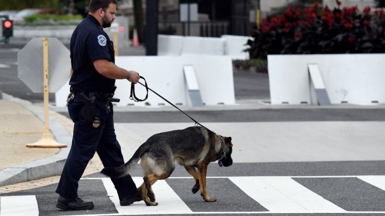 In the United States, cruelty towards police dogs will cost more and more