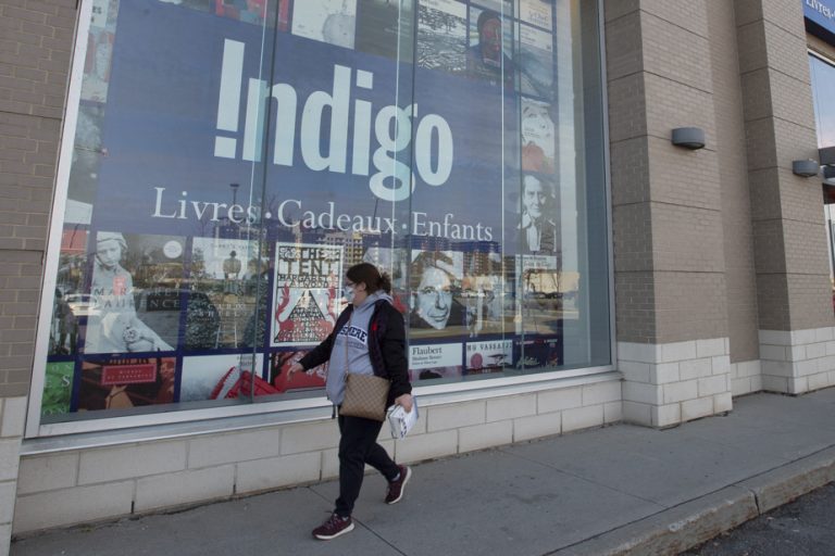 Indigo receives privatization offer