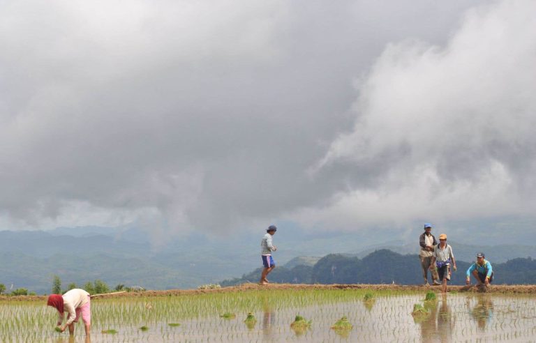 Indonesia: a school that trains agents of change