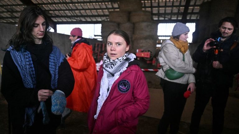 “It’s madness to maintain such a project,” declares Greta Thunberg, who came to support the opponents