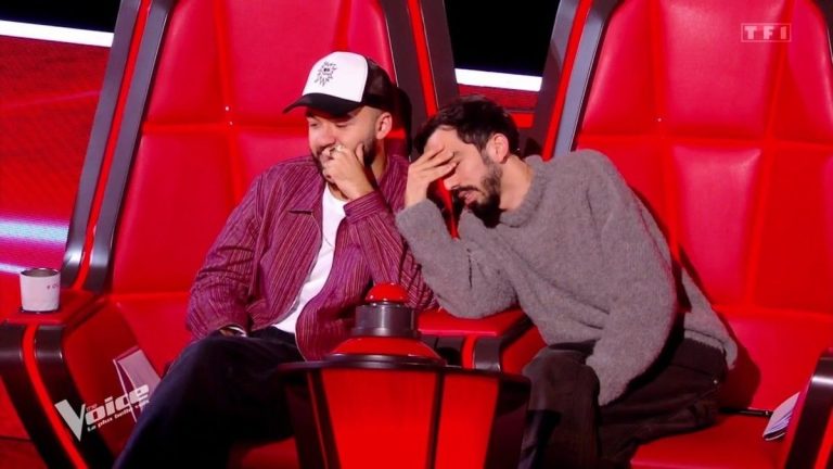 “It’s racism”, “It’s shameful”, Zazie and Vianney warn Bigflo and Oli in “The Voice”