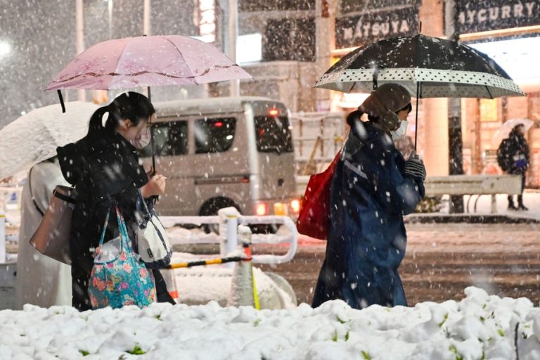 Japan |  Tokyo region paralyzed by snow