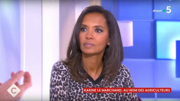 Karine Le Marchand linked by a “scandal” to Bertrand Chameroy?  The host comes off her hinges