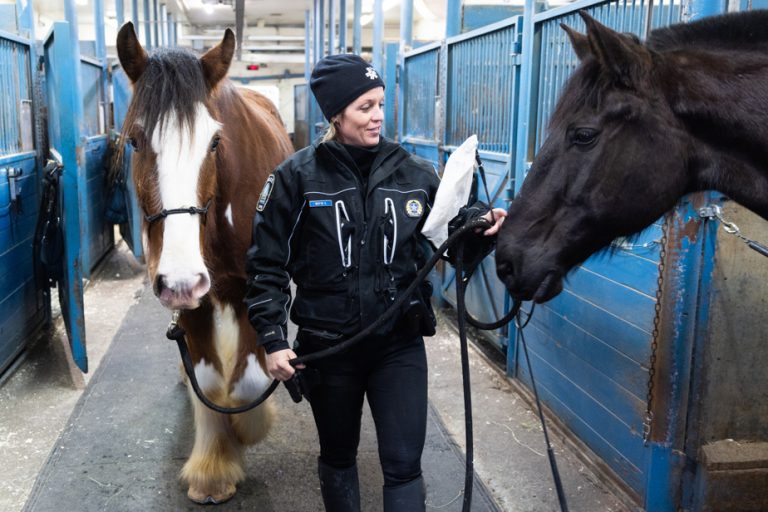 Life, the city |  Being a police officer… on horseback