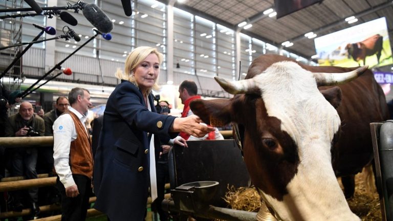 Marine Le Pen, Laurent Wauquiez and Fabien Roussel expected in the aisles today