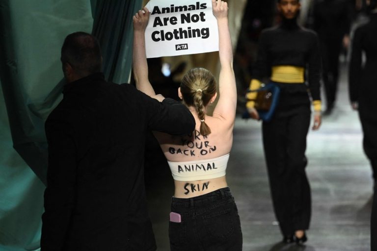 Milan Fashion Week |  Fendi and Max Mara in the crosshairs of anti-fur activists