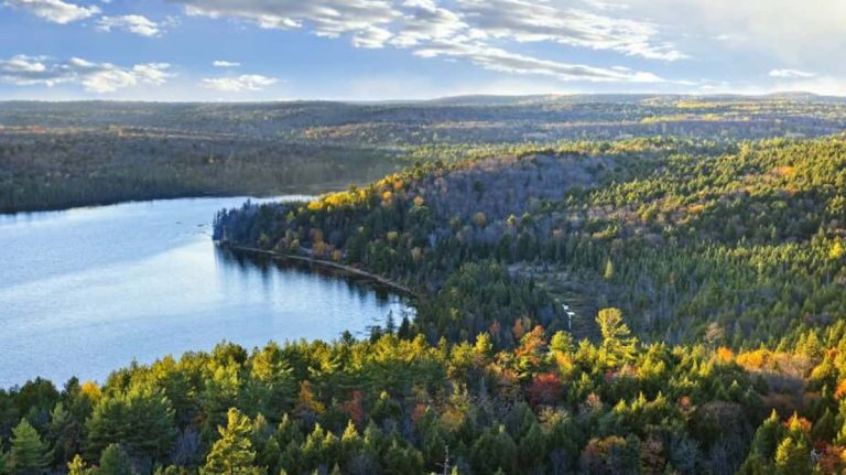 New conflict between Quebec and Ottawa… over tree planting