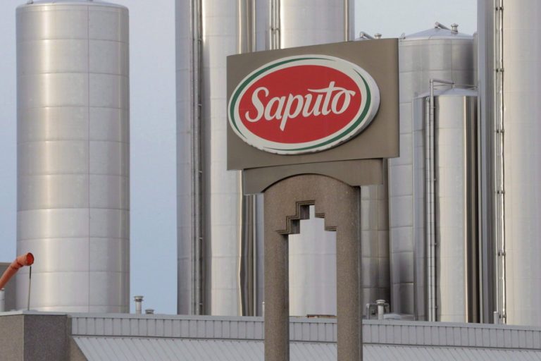 Saputo suffers from price volatility