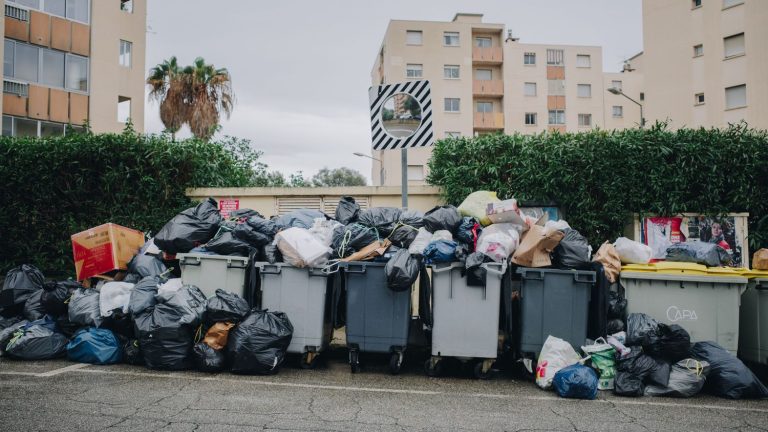 The 2020 anti-waste law failed to reduce waste, deplore NGOs