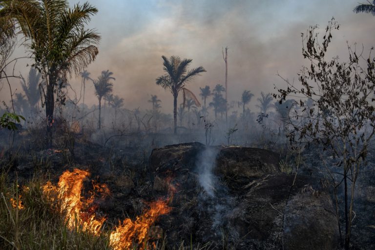 The Amazon rainforest could pass “a breaking point” by 2050