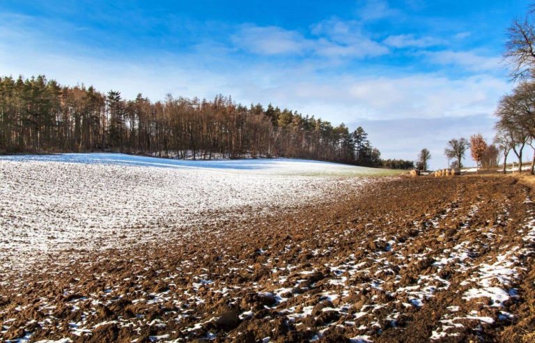 The lack of snow in the fields worries