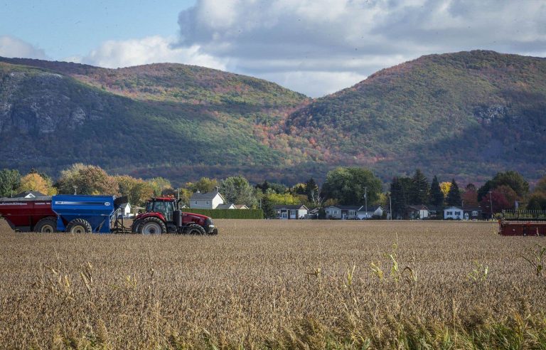 The price of land risks suffocating our agriculture