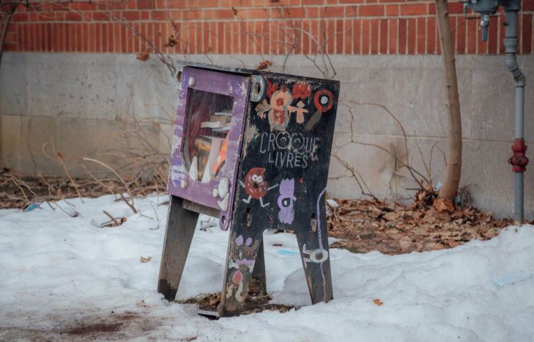 These Croque-livres which become wild again (or the dilapidation of small libraries)