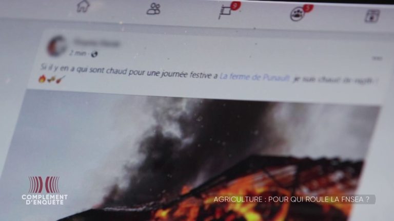 VIDEO.  Threatening SMS, photo of shed on fire… A member of the Confédération paysanne recounts the pressure from local representatives of the FNSEA