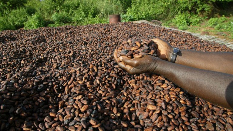 Why is the price of cocoa soaring?