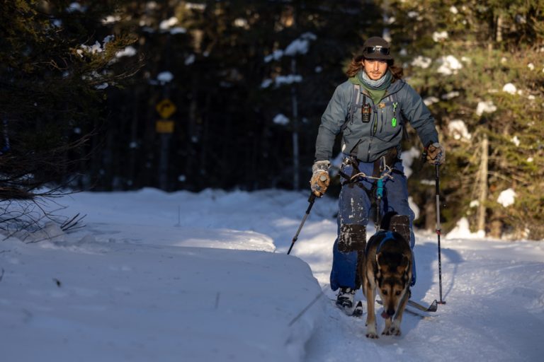 Winter in Charlevoix |  Harnessed skiing: fun for dogs!