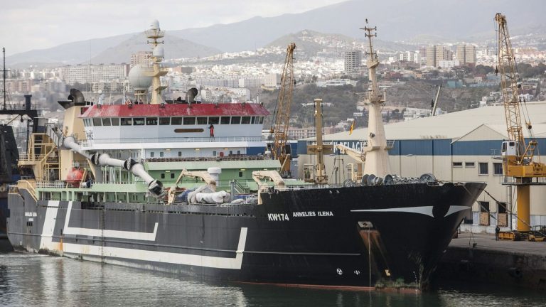 a demonstration in Saint-Malo against the largest trawler in the world to denounce the “looting of the oceans”