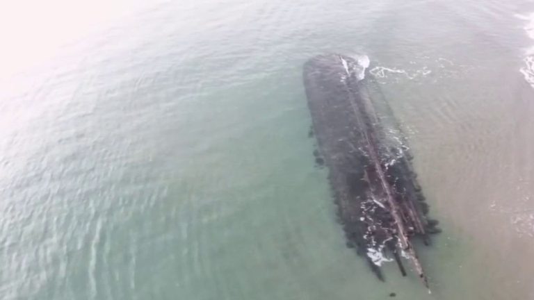 a mysterious wreck resurfaces on the coast