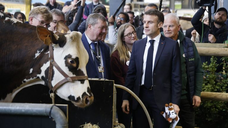 after his eventful visit, Emmanuel Macron points to the responsibility of those who “are there with a political project, to serve the National Rally”