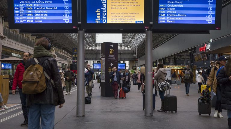 customs officers discover around twenty reptiles in the luggage of a traveler from Germany