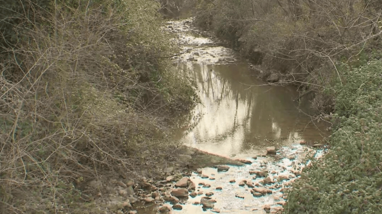 “eternal pollutants” found in waters