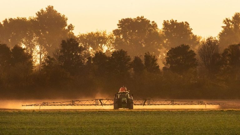 “eternal pollutants” increasingly present in fruits and vegetables in Europe, denounce NGOs