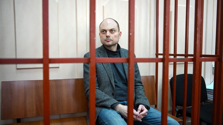 in exile, in prison or even at liberty, who are the other figures of the Russian opposition?