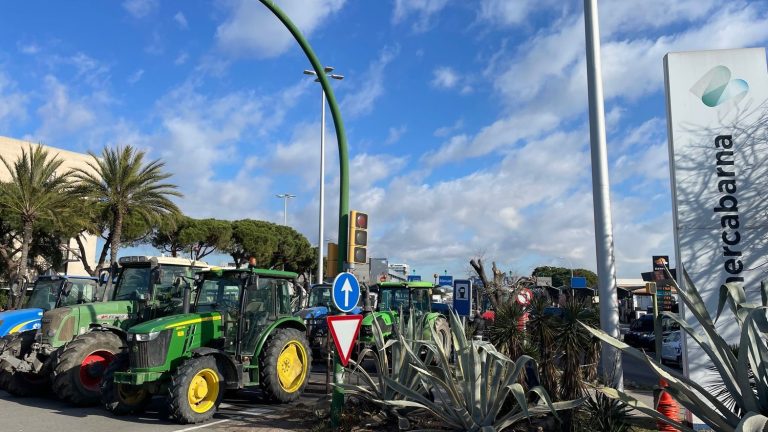 mobilized in Barcelona, ​​Spanish farmers denounce competition from countries outside the European Union