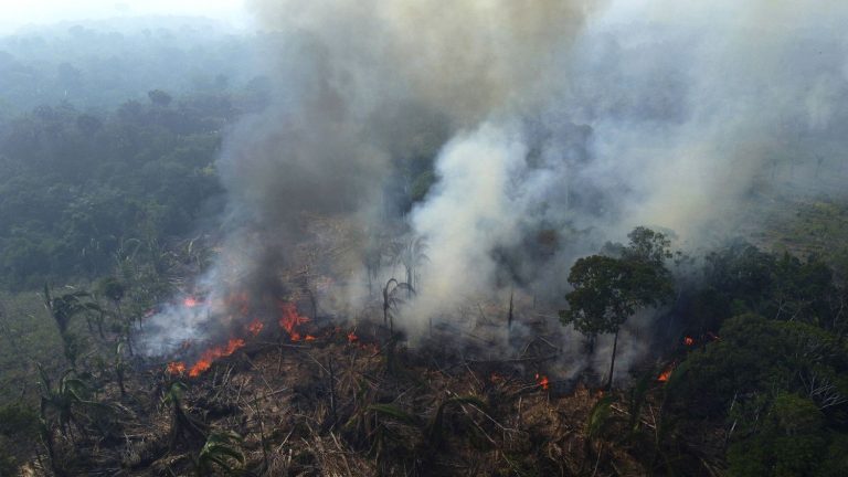 nearly 3,000 fires in the Amazon in February, a record for this month of the year