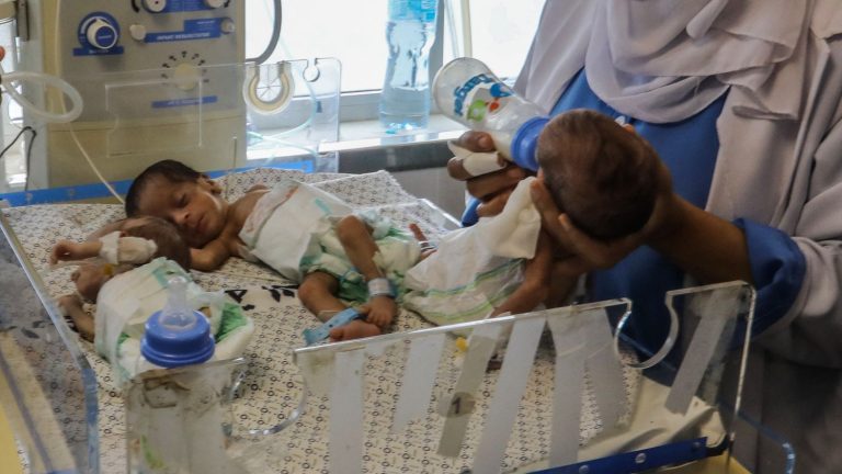 on mission in Gaza, a French gynecologist warns of the critical situation in maternity wards