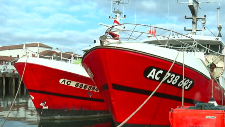 resumption of fishing in the Bay of Biscay