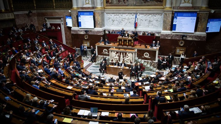 the National Assembly adopts the bill with the article creating a new offense of “provocation to withholding medical care”