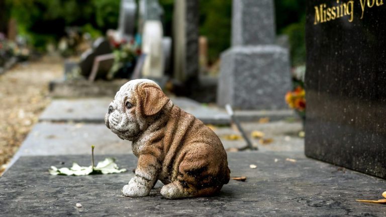 the “New York Times” looked at a secret suffering, the mourning of a pet