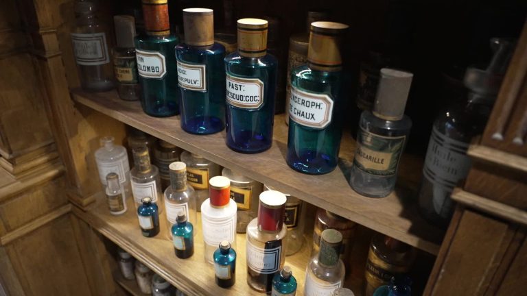 the history of pharmacy explained at the Albarelle museum, in Orsay