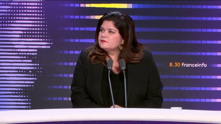 the rallying to the RN of the former boss of Frontex “reveals a shrinking” of the party “on toxic subjects”, criticizes LFI MP Raquel Garrido