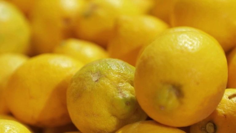 the secrets of Etna lemons