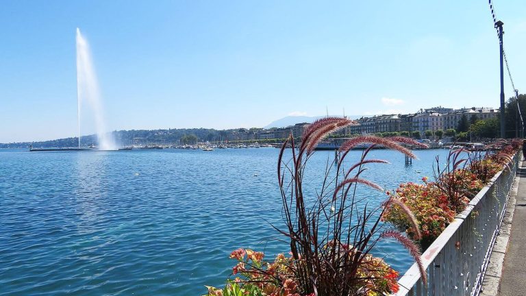 the water temperature of Lake Geneva increases 4 to 5 times faster than the oceans