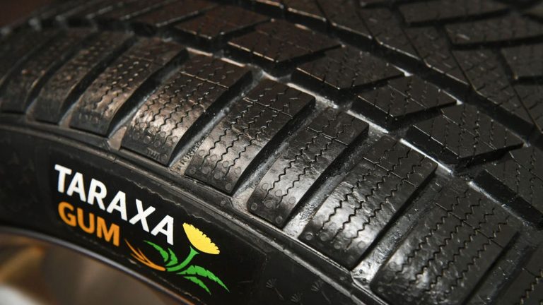 tires made from dandelion are developed by Goodyear and Continental