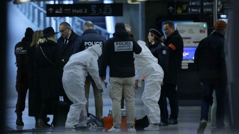 what we know about the knife and hammer attack at Lyon station