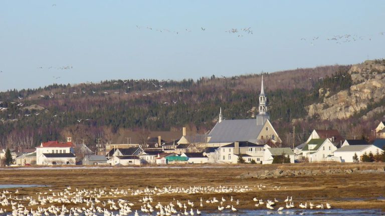 12 sponsorships for sale to heat a church in Bas-Saint-Laurent